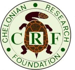 Chelonian-logo